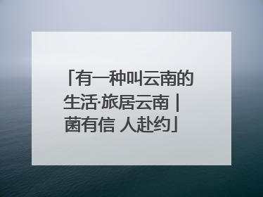 有一种叫云南的生活·旅居云南｜菌有信 人赴约