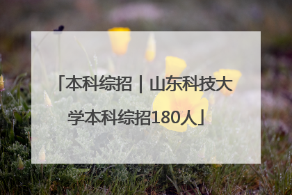 本科综招｜山东科技大学本科综招180人