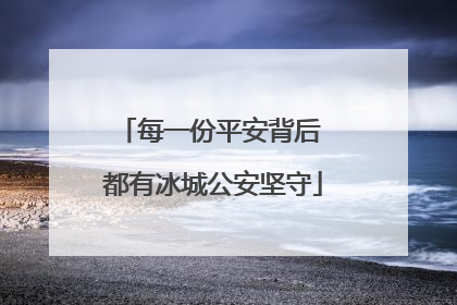 每一份平安背后 都有冰城公安坚守