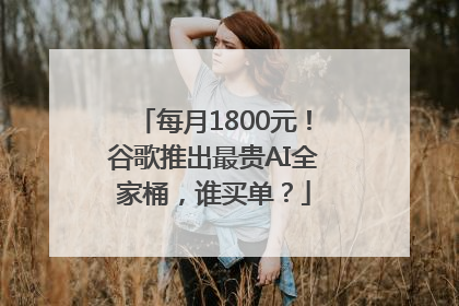 每月1800元！谷歌推出最贵AI全家桶，谁买单？