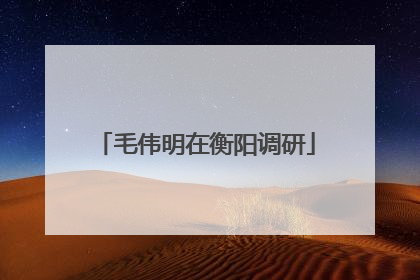 毛伟明在衡阳调研