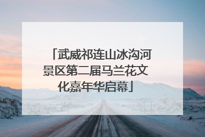 武威祁连山冰沟河景区第二届马兰花文化嘉年华启幕