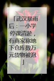 武汉暴雨后：一小学停课清淤，有商家称地下仓库数万元货物被泡