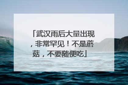 武汉雨后大量出现，非常罕见！不是蘑菇，不要随便吃