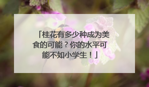 桂花有多少种成为美食的可能？你的水平可能不如小学生！