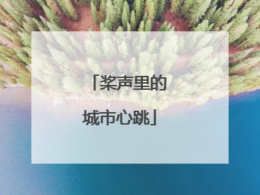 桨声里的城市心跳