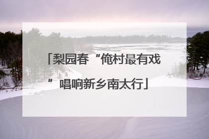 梨园春“俺村最有戏”唱响新乡南太行