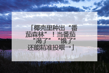 椰壳里种出“番茄森林”！当番茄“渴了”“饿了”还能精准投喂→