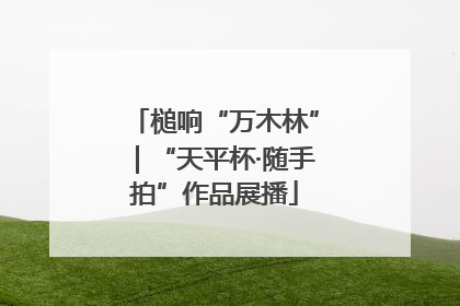 槌响“万木林”｜“天平杯·随手拍”作品展播