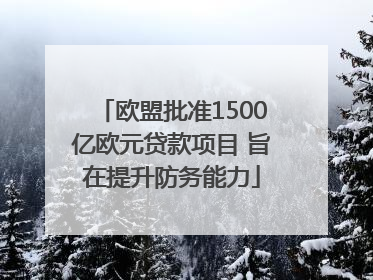 欧盟批准1500亿欧元贷款项目 旨在提升防务能力