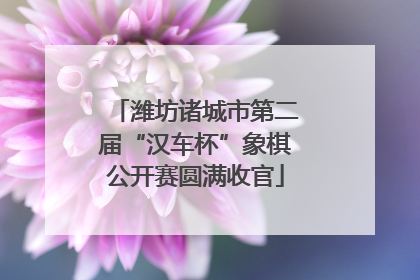 潍坊诸城市第二届“汉车杯”象棋公开赛圆满收官