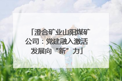 澄合矿业山阳煤矿公司：党建融入激活发展向“新”力
