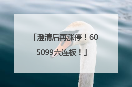 澄清后再涨停！605099六连板！
