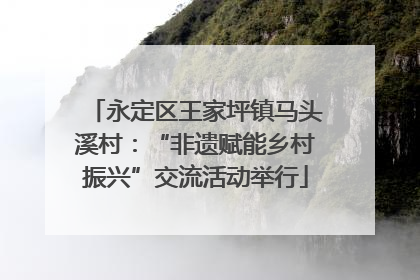 永定区王家坪镇马头溪村：“非遗赋能乡村振兴”交流活动举行