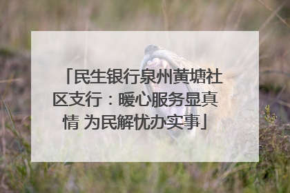 民生银行泉州黄塘社区支行：暖心服务显真情 为民解忧办实事