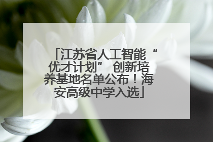 江苏省人工智能“优才计划” 创新培养基地名单公布！海安高级中学入选