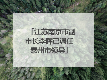 江苏南京市副市长李晖已调任泰州市领导