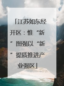 江苏如东经开区：惟“新”图强以“新”提质推进产业强区