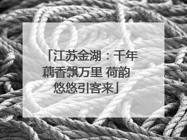 江苏金湖：千年藕香飘万里 荷韵悠悠引客来