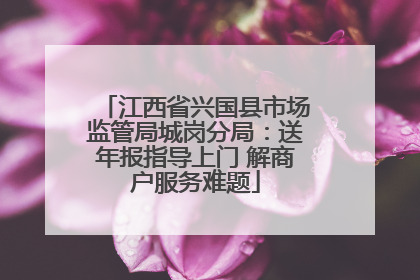江西省兴国县市场监管局城岗分局：送年报指导上门 解商户服务难题
