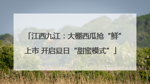 江西九江：大棚西瓜抢“鲜”上市 开启夏日“甜蜜模式”