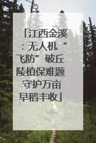 江西金溪：无人机“飞防”破丘陵植保难题 守护万亩早稻丰收