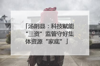 汤阴县：科技赋能“三资”监管守好集体资源“家底”