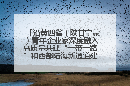 沿黄四省（陕甘宁蒙）青年企业家深度融入高质量共建“一带一路”和西部陆海新通道建设战略合作交流会在甘肃兰州召开