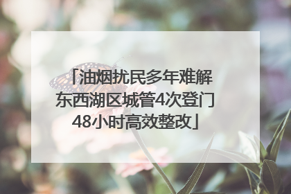 油烟扰民多年难解 东西湖区城管4次登门48小时高效整改