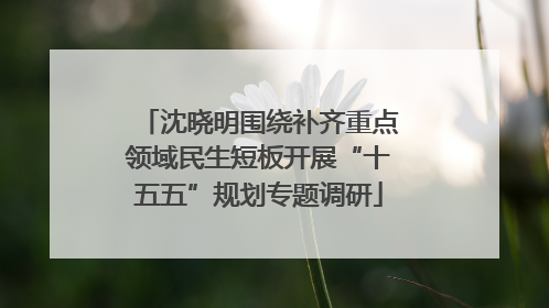 沈晓明围绕补齐重点领域民生短板开展“十五五”规划专题调研