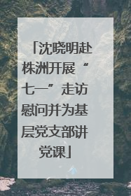 沈晓明赴株洲开展“七一”走访慰问并为基层党支部讲党课