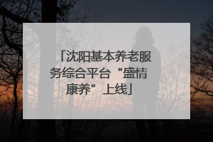 沈阳基本养老服务综合平台“盛情康养”上线