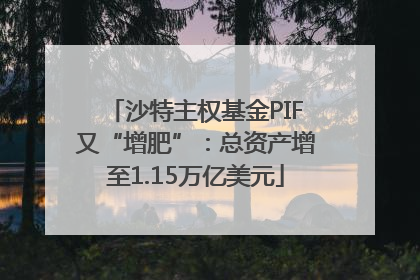 沙特主权基金PIF又“增肥”：总资产增至1.15万亿美元