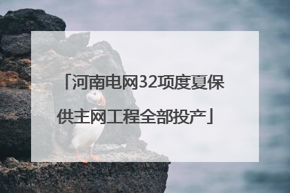 河南电网32项度夏保供主网工程全部投产