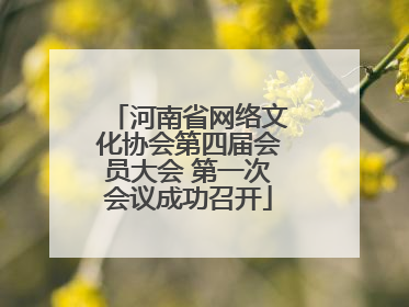 河南省网络文化协会第四届会员大会 第一次会议成功召开