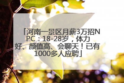 河南一景区月薪3万招NPC：18-28岁，体力好、颜值高、会聊天！已有1000多人应聘