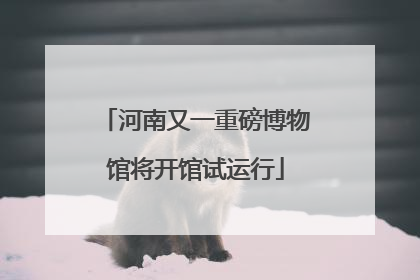 河南又一重磅博物馆将开馆试运行