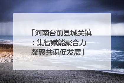 河南台前县城关镇：集智赋能聚合力 凝聚共识促发展