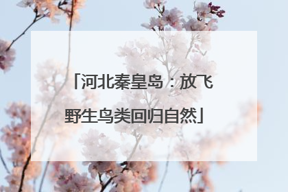 河北秦皇岛：放飞野生鸟类回归自然