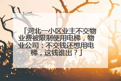 河北一小区业主不交物业费被限制使用电梯，物业公司：不交钱还想用电梯，这钱谁出？