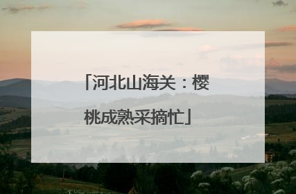 河北山海关：樱桃成熟采摘忙