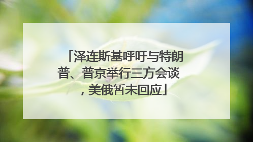 泽连斯基呼吁与特朗普、普京举行三方会谈，美俄暂未回应