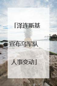泽连斯基宣布乌军队人事变动