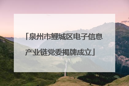 泉州市鲤城区电子信息产业链党委揭牌成立