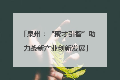 泉州：“聚才引智”助力战新产业创新发展