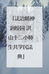 法治精神润校园 洪山十二小师生共学民法典