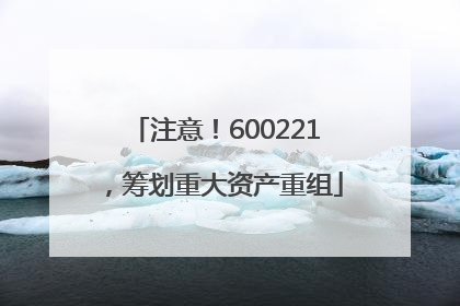 注意！600221，筹划重大资产重组