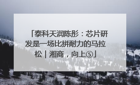 泰科天润陈彤：芯片研发是一场比拼耐力的马拉松｜湘商，向上⑤