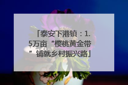 泰安下港镇：1.5万亩“樱桃黄金带”铺就乡村振兴路