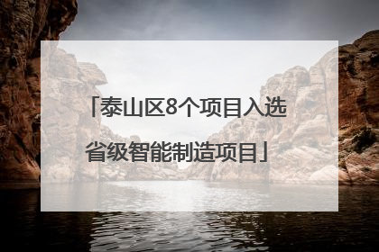 泰山区8个项目入选省级智能制造项目